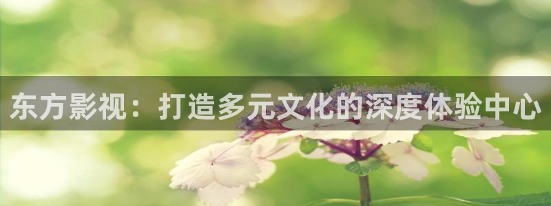 午夜伊人影院网
