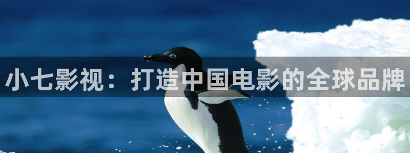 被窝午夜理论影片