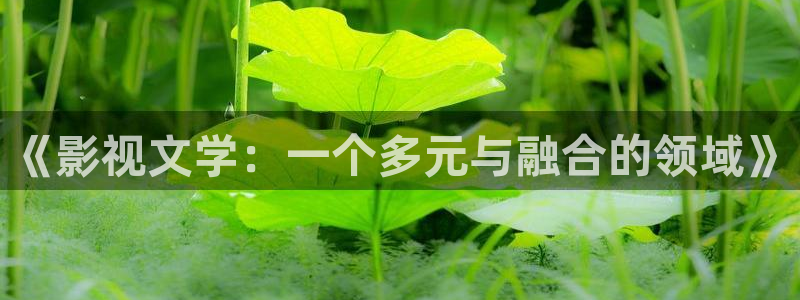 电影《午夜》