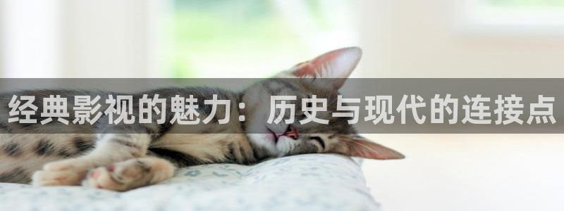 成人午夜在线观看电影