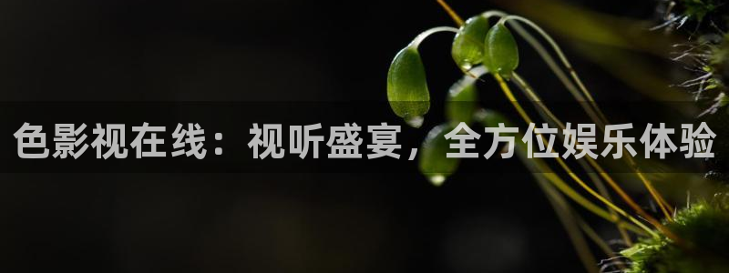 欧美成人免费午夜影院
