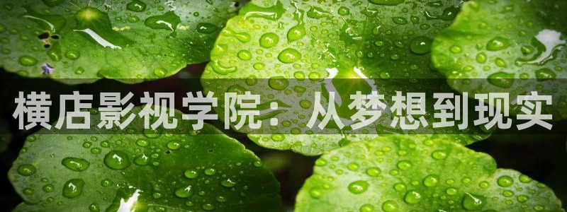 欧美午夜看片影院