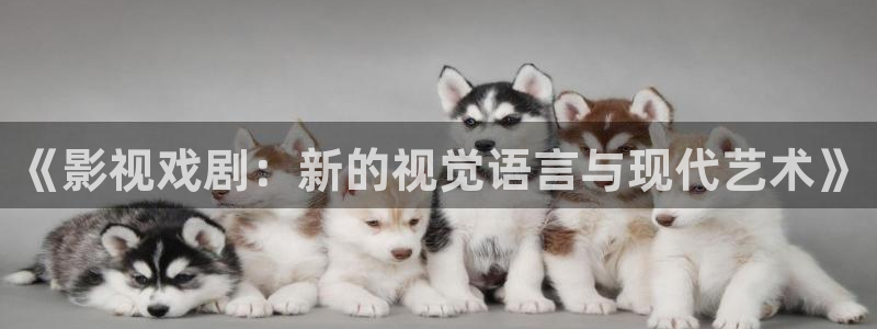 电影午夜影院