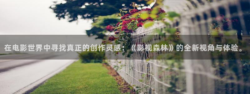 午夜星空影视